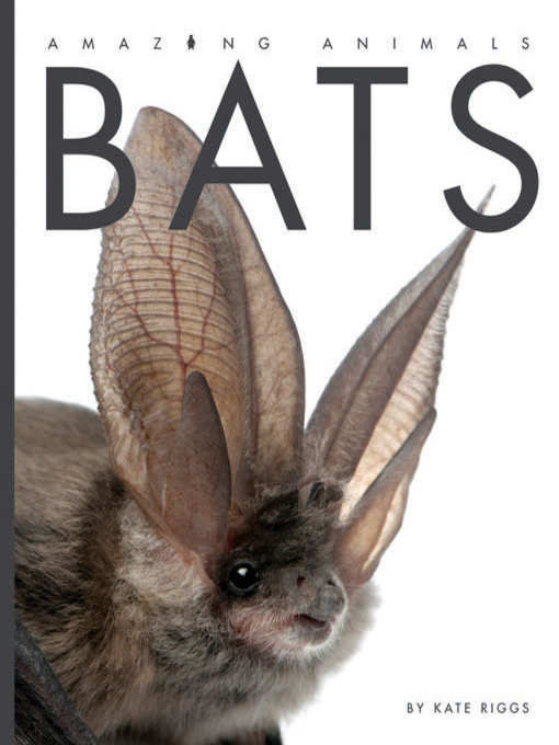 Title details for Bats by Kate Riggs - Available
